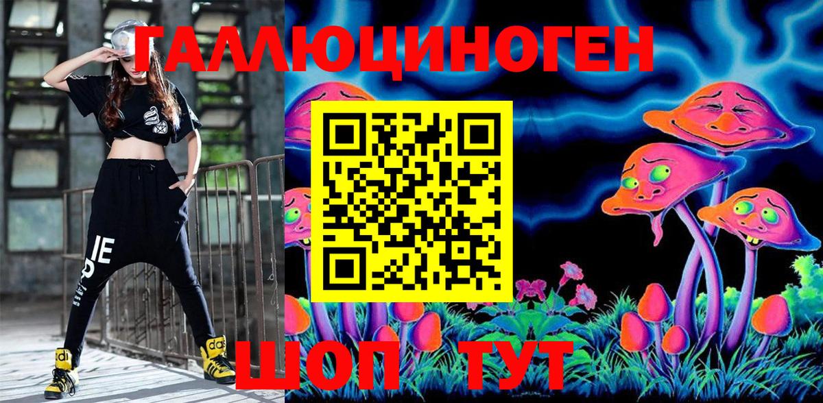 Псилоцибиновые грибы Psilocybine cubensis Сызрань
